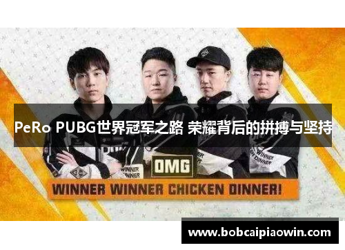 PeRo PUBG世界冠军之路 荣耀背后的拼搏与坚持