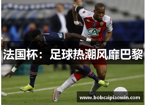法国杯：足球热潮风靡巴黎