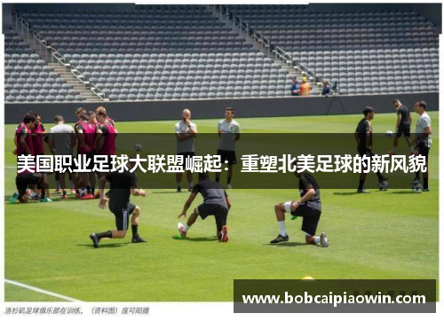 美国职业足球大联盟崛起：重塑北美足球的新风貌
