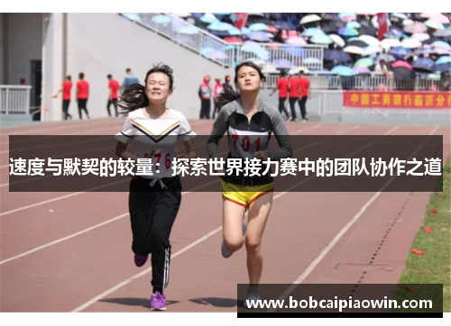 速度与默契的较量：探索世界接力赛中的团队协作之道